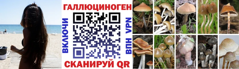 Галлюциногенные грибы Magic Shrooms  сколько стоит  Находка 